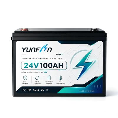Qualità Batteria diretta al litio ferro fosfato 25,6 V 100 Ah 2560 Wh 5000 cicli UPS Batteria di accumulo di energia off-grid OEM ODM disponibile fabbrica
