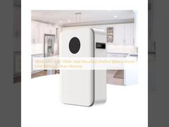 5KWh 48V 51.2V 100Ah Montaggio a parete Batteria LiFePo4 Batteria solare per la casa 5 anni di garanzia